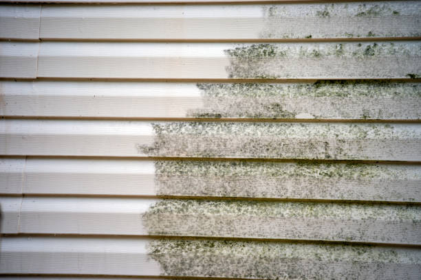 Best Wood Siding Installation  in Raymond, MS