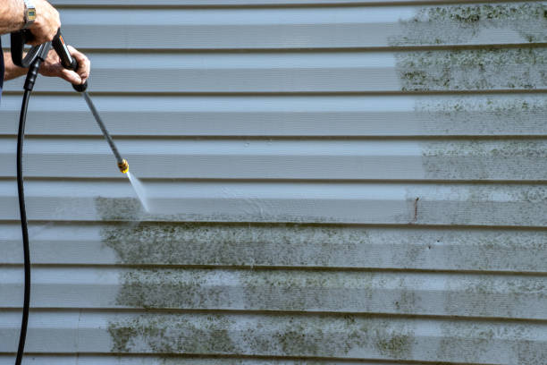 Best Weatherproofing and Sealing  in Raymond, MS