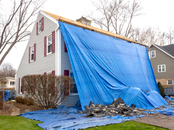 Affordable siding repair and maintenance services in Raymond, MS